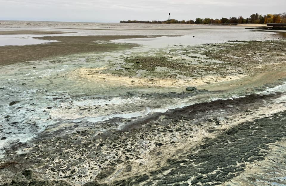Phosphorous is a nutrient, experts say, that is feeding the growth of algae across Lake Winnipeg. One way to deal with it may be by regulating its production.