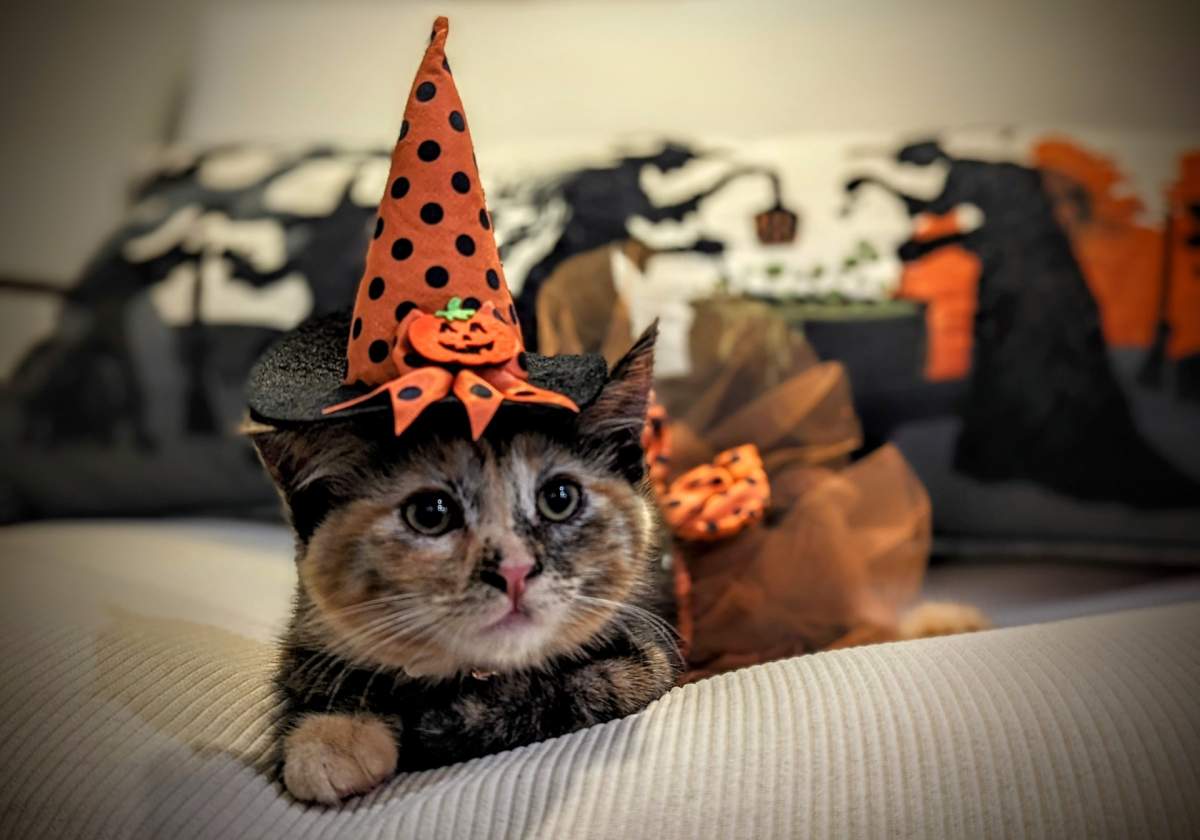 – Trisha Dulku, Surrey, B.C.