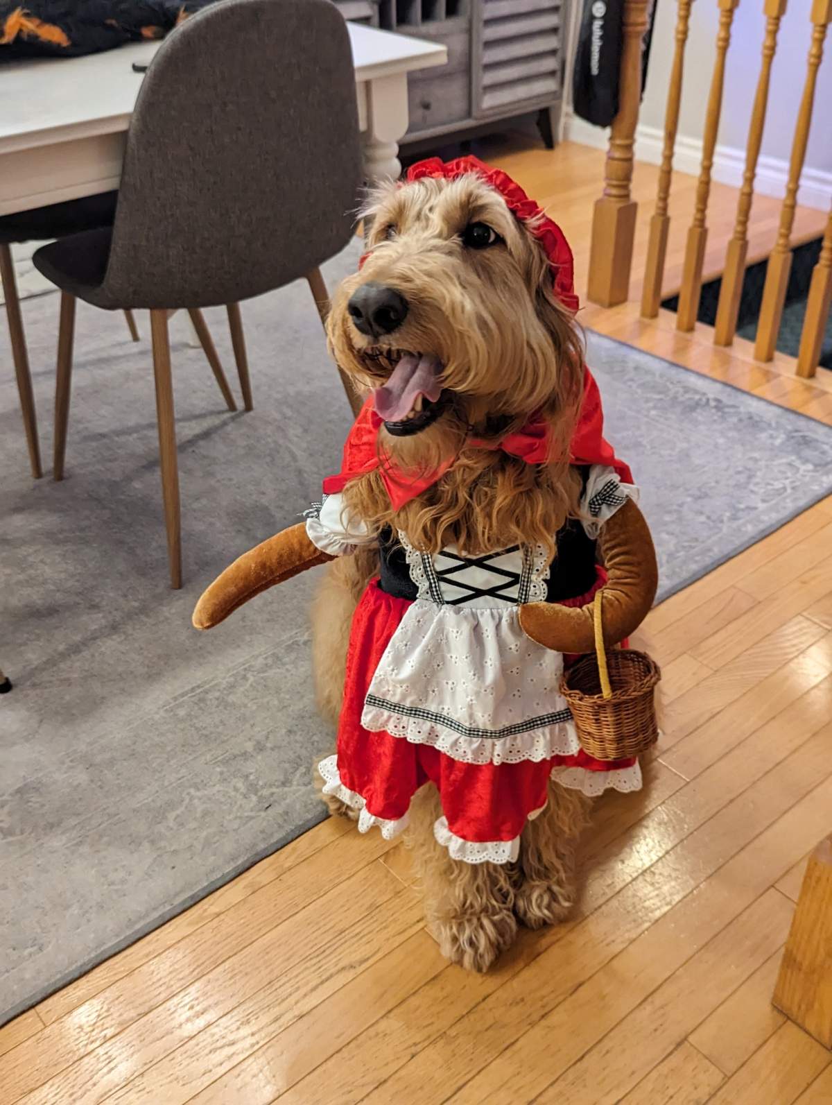 – Sandra Eis, Stellarton, N.S.