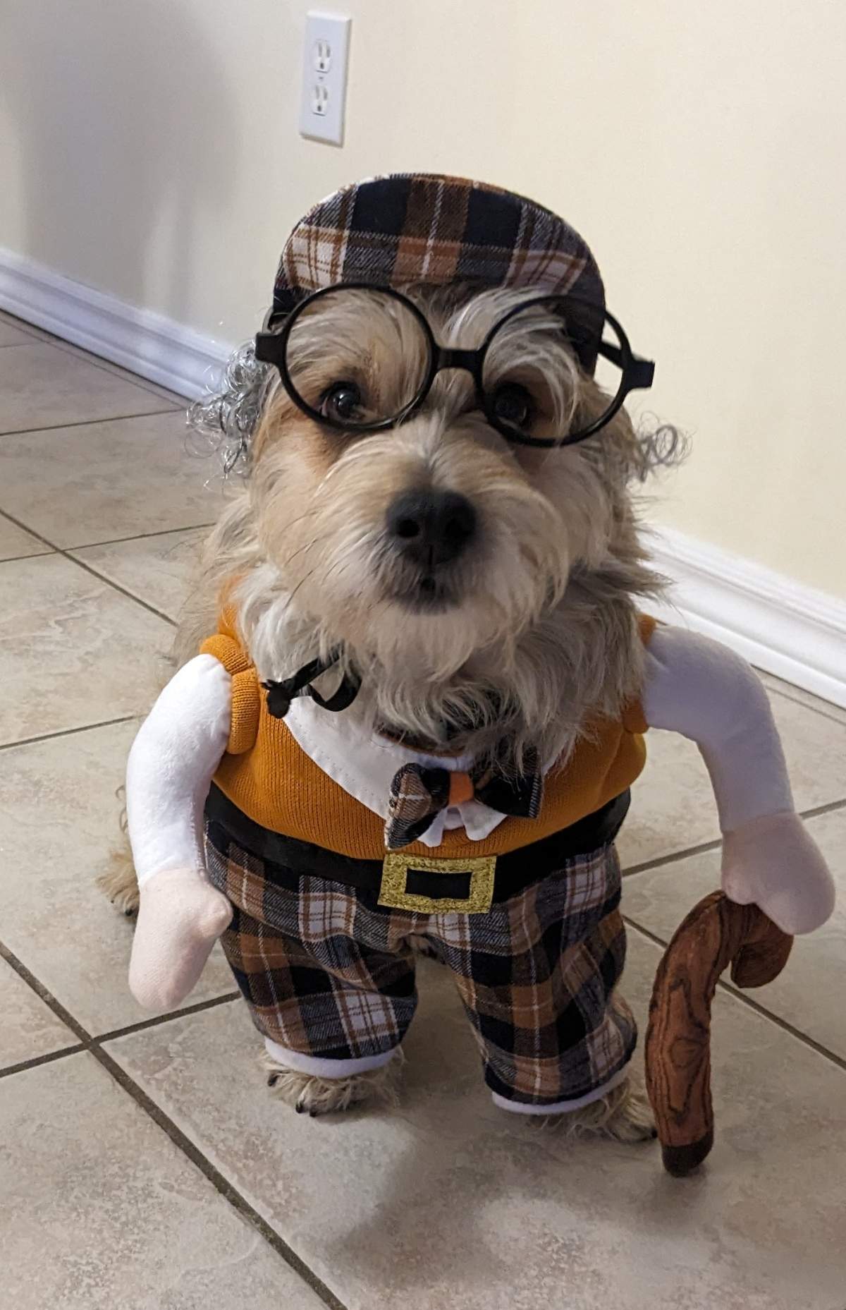 – Jenny Gerster, Brantford, Ont.