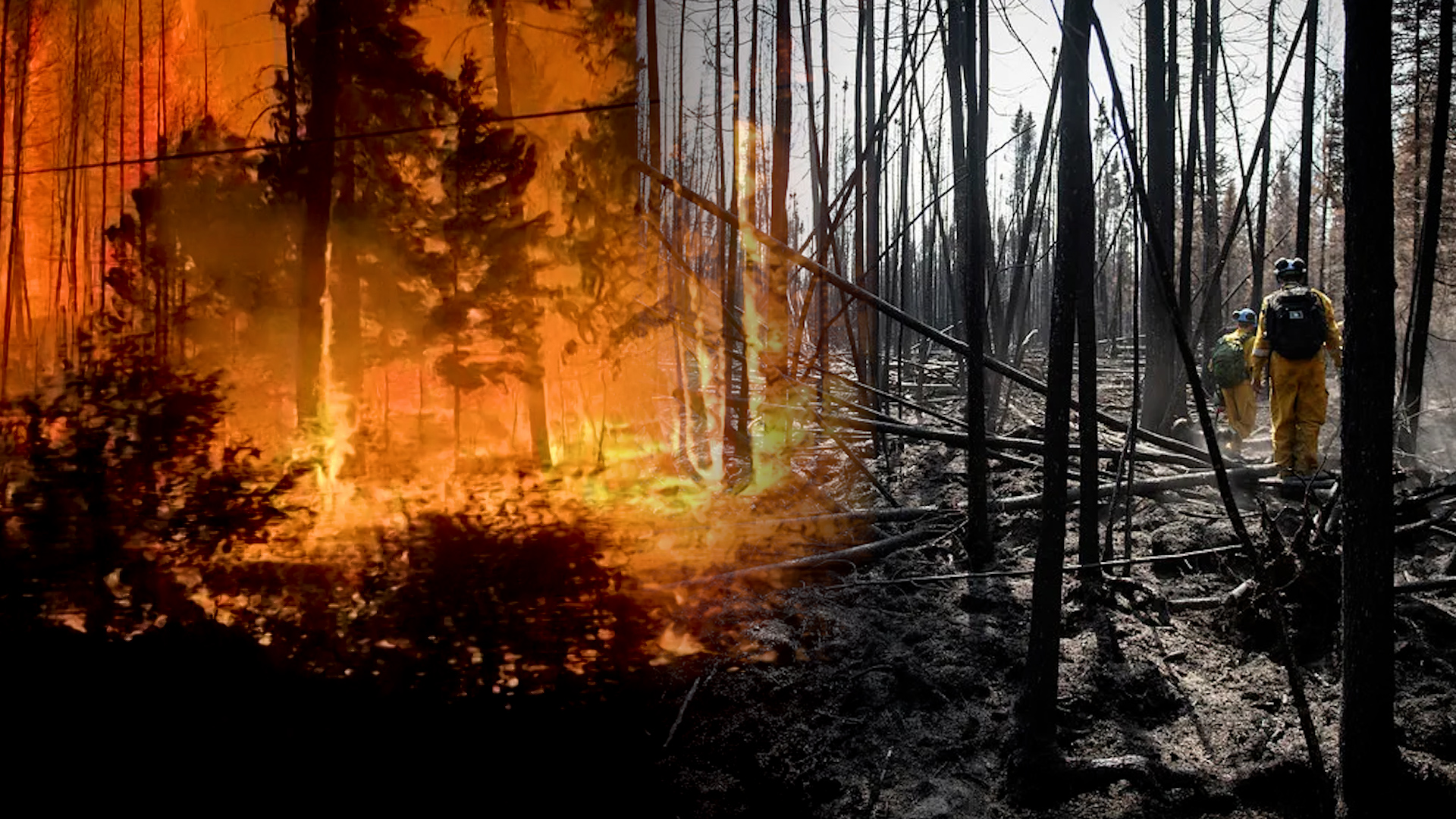 Future of wildfires: What will happen to Canada’s scorched forests as fires worsen?
