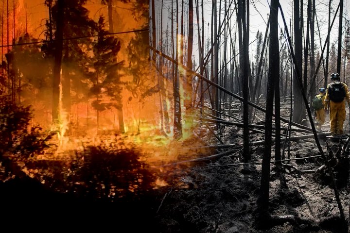 Future of wildfires: What will happen to Canada’s scorched forests as fires worsen?