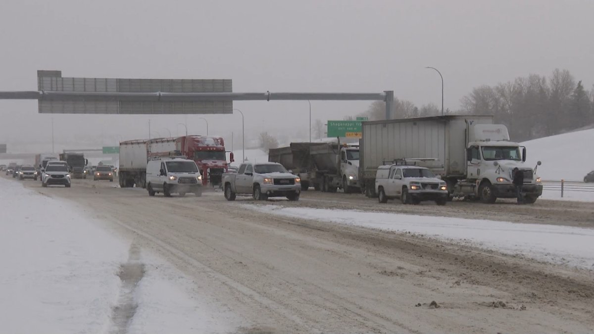 Snow Mould a Major Problem in Calgary