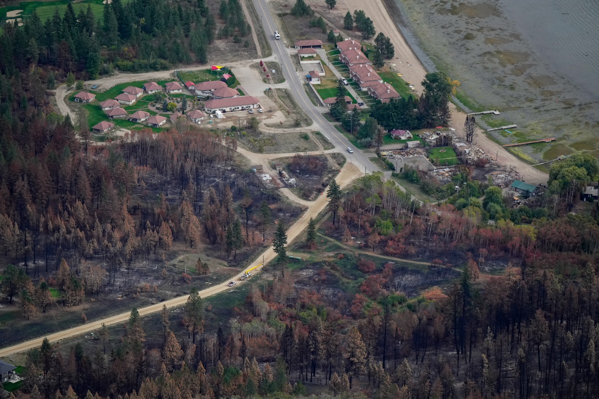 Trees and the remains of structures burned by the Bush Creek East Wildfire are seen on the shore of Little Shuswap Lake in Squilax, B.C., on Sept. 11, 2023. 