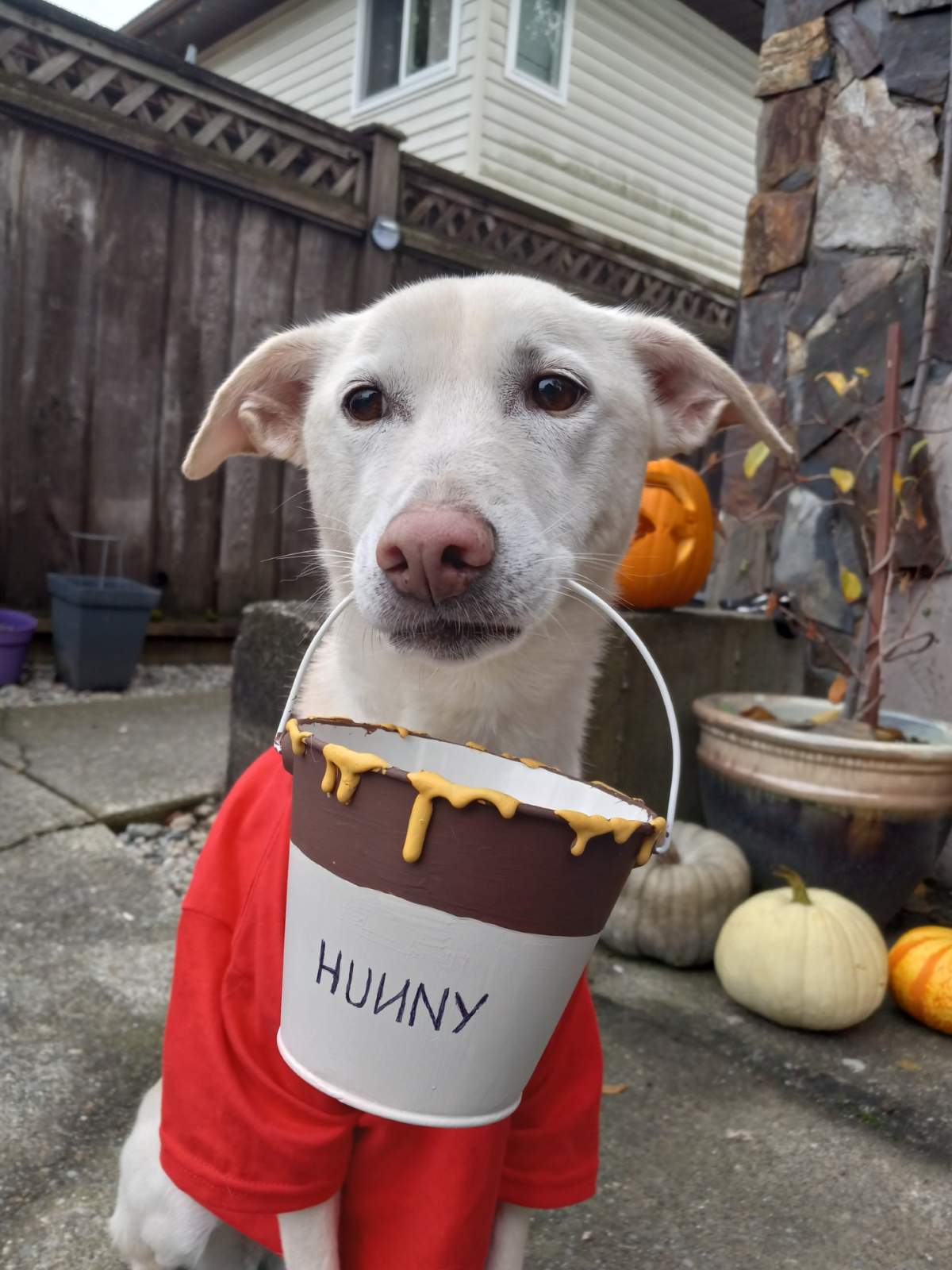 – Lauren Hastie, Aldergrove, B.C.