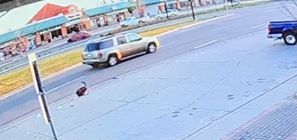 The suspect vehicle. A Chevrolet Trailblazer in gold or Tan.