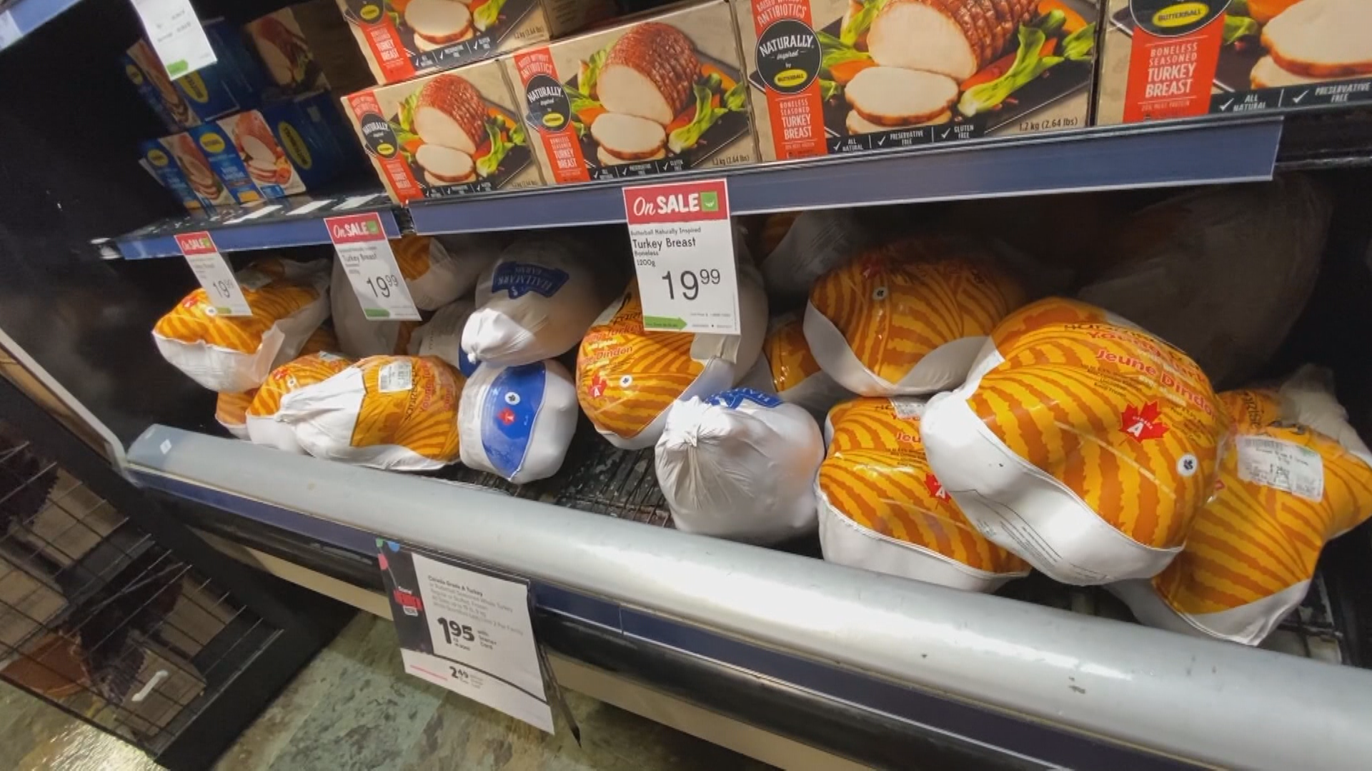 Rising food costs impacts Thanksgiving shopping in Saskatchewan, across Canada