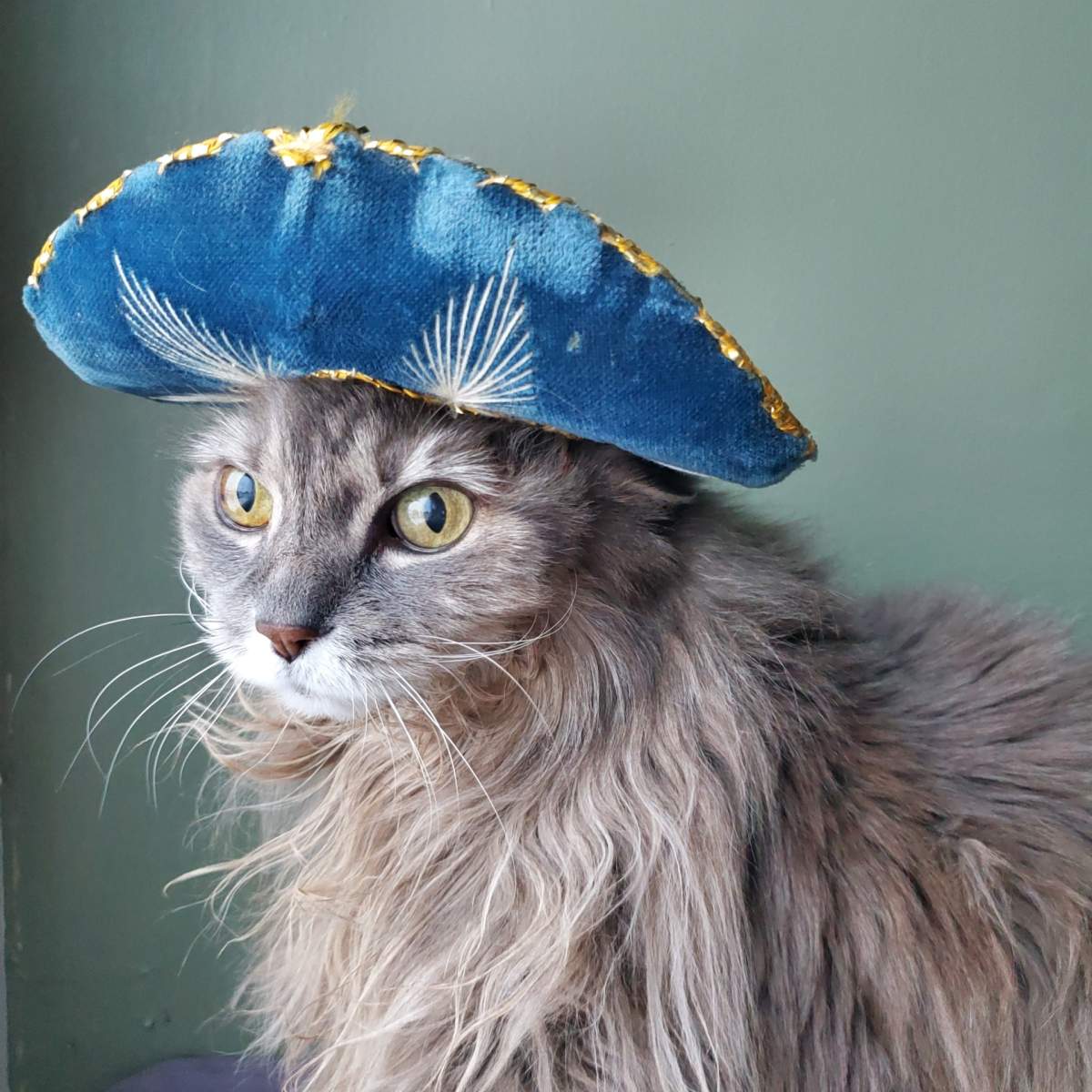 – Shirley McArthur