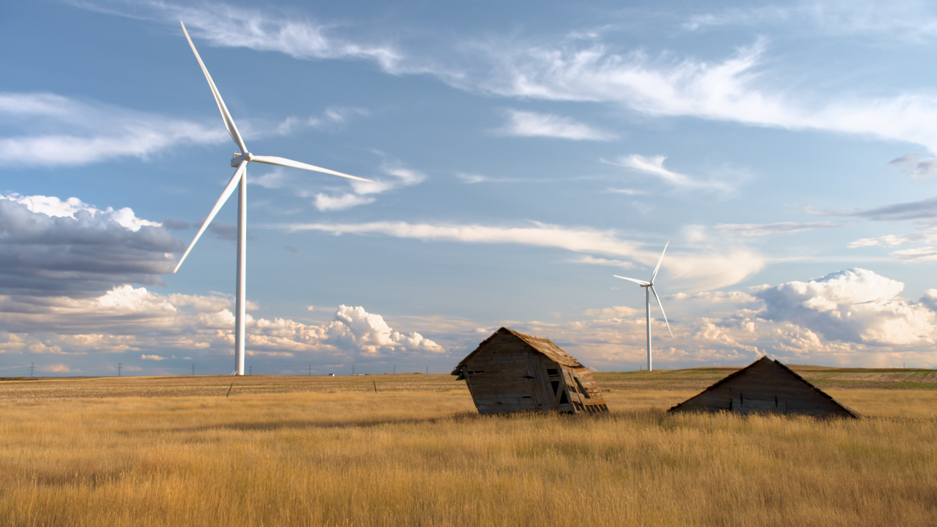 This wind farm in 40 Mile County in southeastern Alberta was developed by oil giant Suncor and then purchased by ATCO. Oil and gas companies have become major players in Alberta’s renewable energy boom.