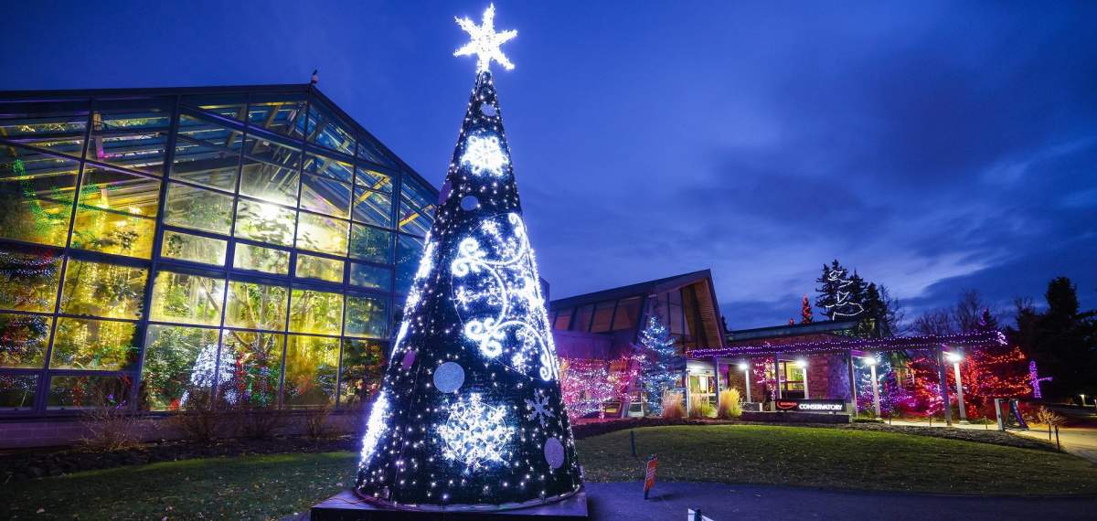ZOOLIGHTS – Wilder Institute/Calgary Zoo - image