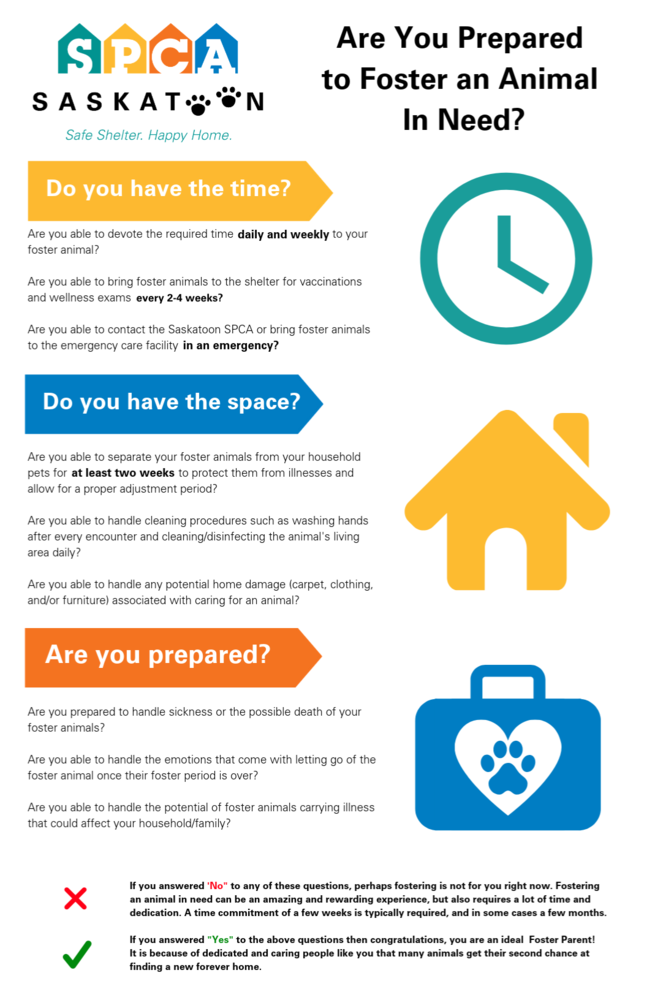 The Saskatoon SPCA website has information about what it is looking for in a foster home.