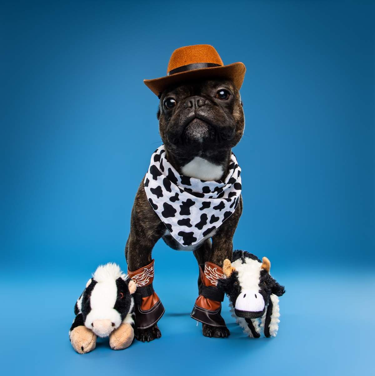 – Morgan Young, Burnaby, B.C.