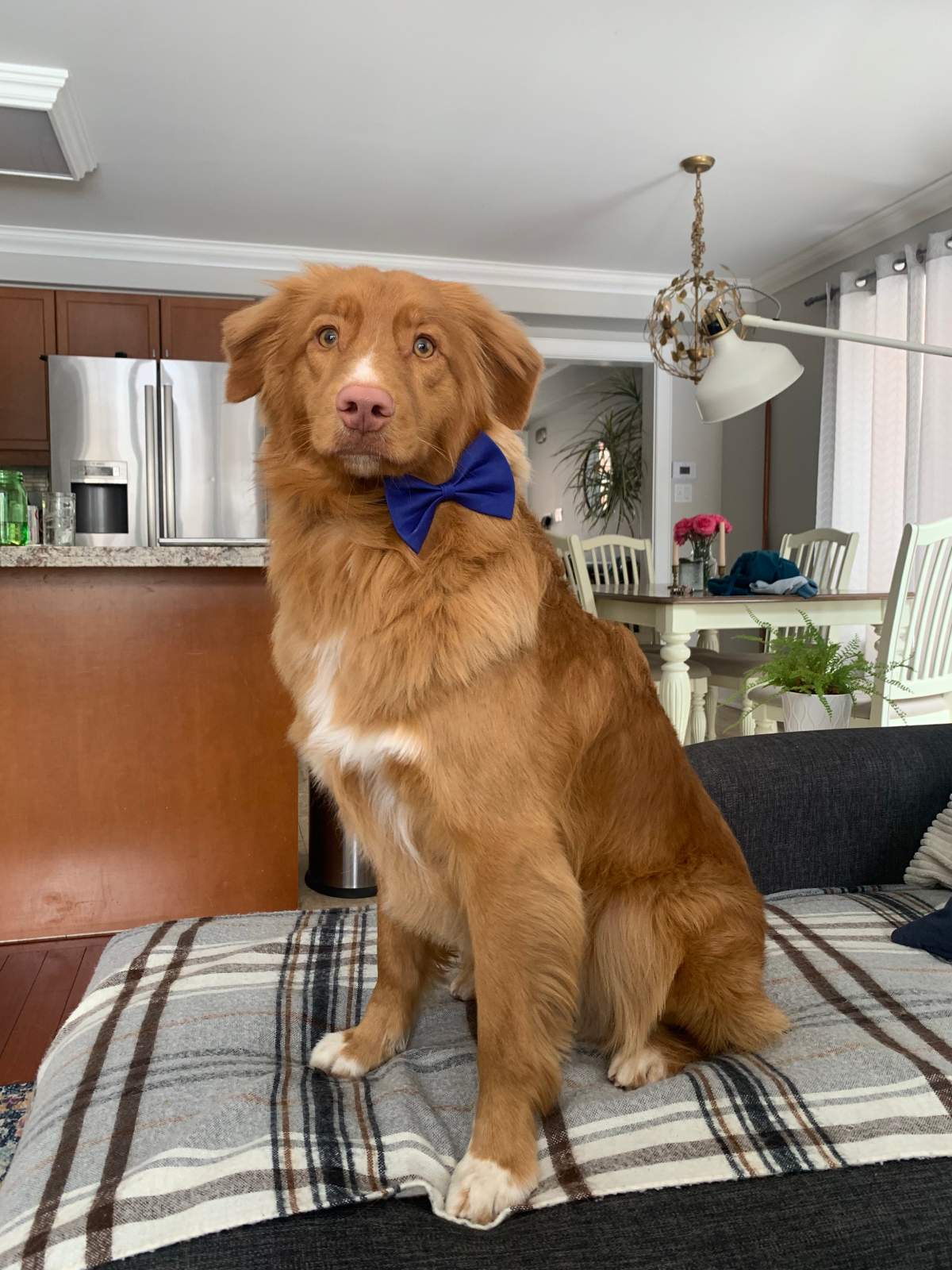 – Owner, Toronto, Ont.