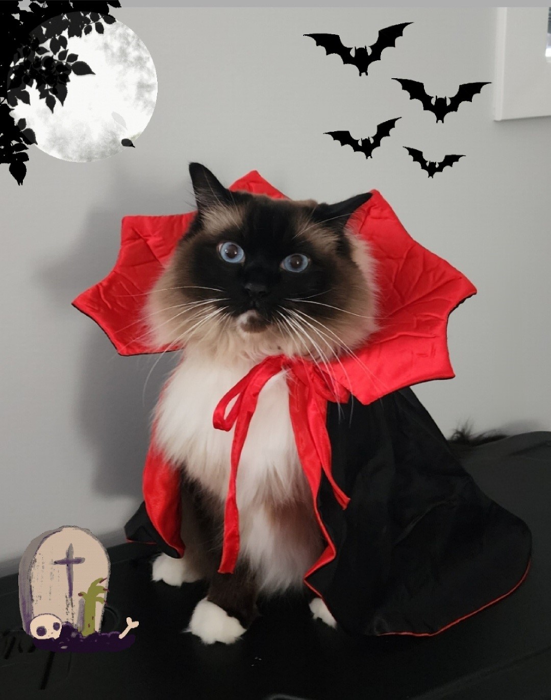 – Tanya Tompkins, Cochrane, Alta.