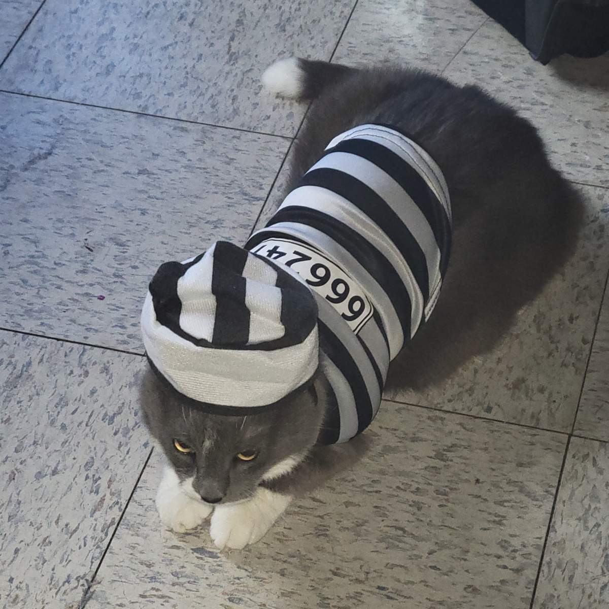 – Jeanette Delorme