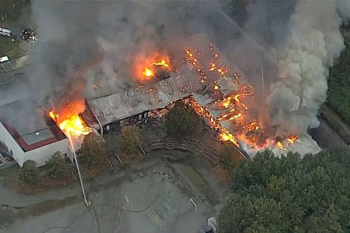 ‘Devastating’: Port Coquitlam elementary school destroyed in suspicious fire