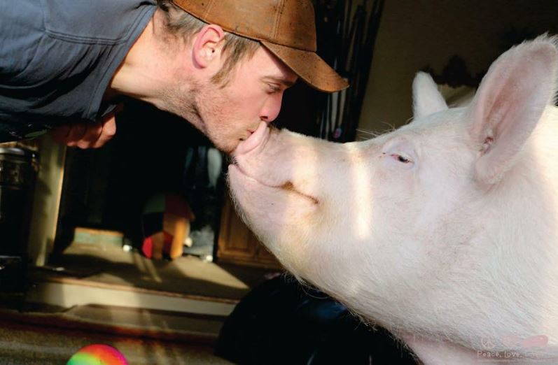 Esther The Wonder Pig.