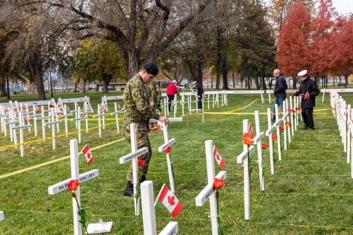 Kelowna’s City Park set to host fifth-annual Field of Crosses memorial