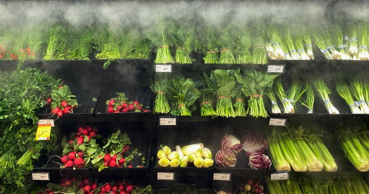 MPs ask grocers to explain their plans to tackle food inflation