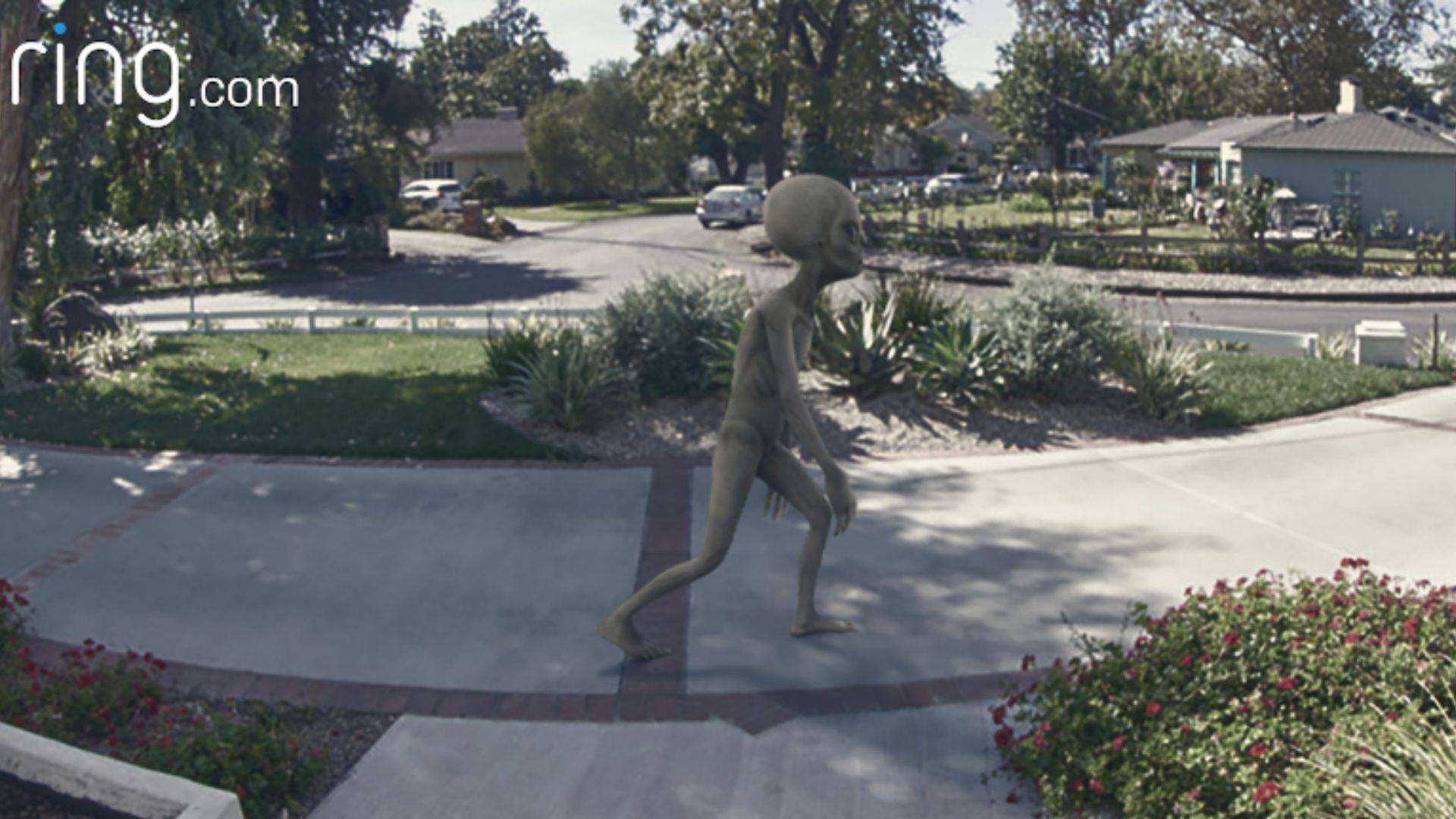 Ring doorbell company launches $1M alien-spotting competition - Vimarsana News