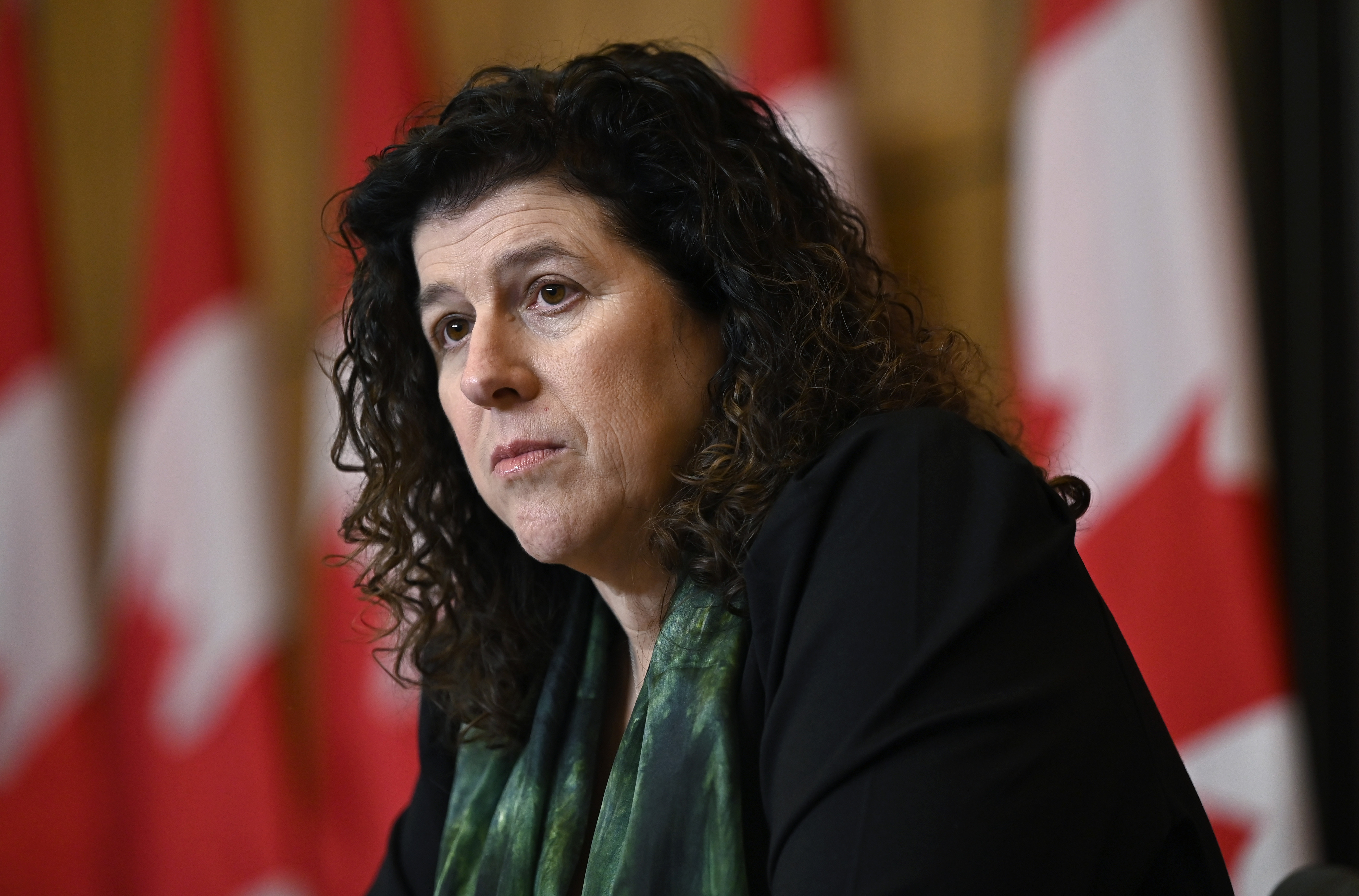 Canada’s auditor general calls on feds to create online portal for refugees amid backlogs