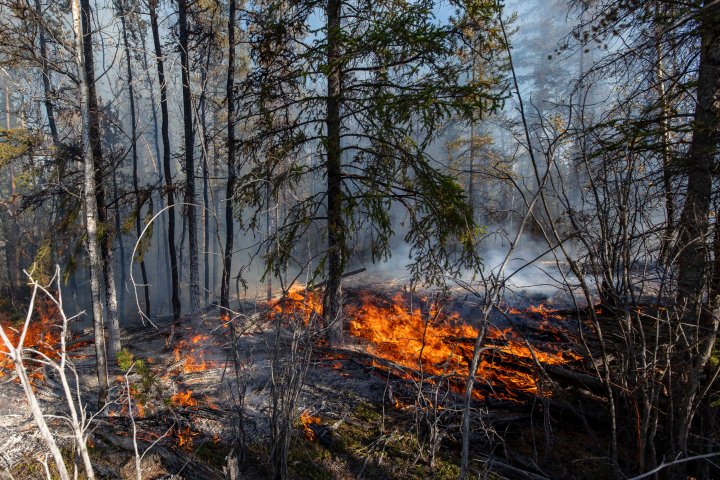Trudeau visiting Northwest Territories ravaged by record wildfires