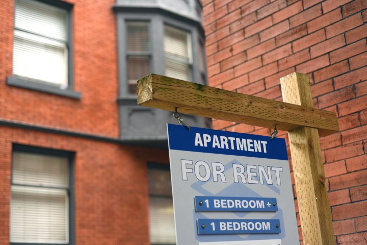 Rentals should be at centre of housing solutions, federal advocate urges
