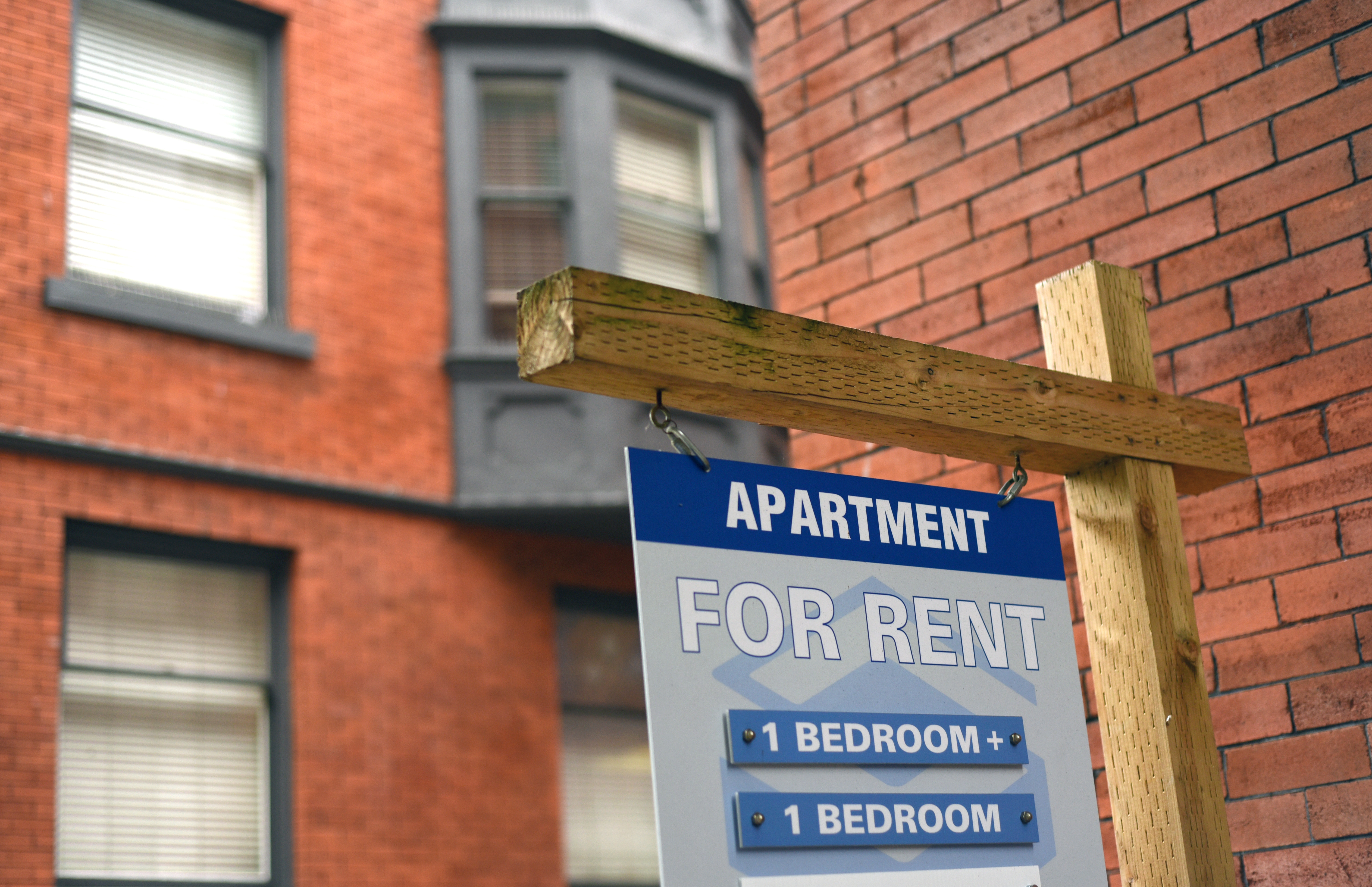 Rentals should be at centre of housing solutions, federal advocate urges