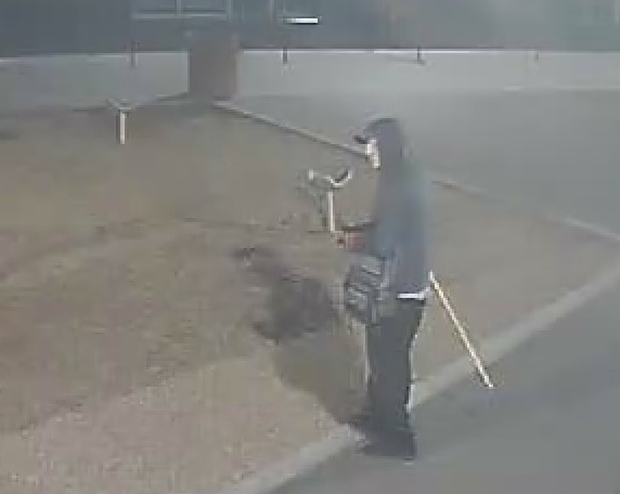 Surveillance video released as Saskatoon police look for needle-dropping suspect