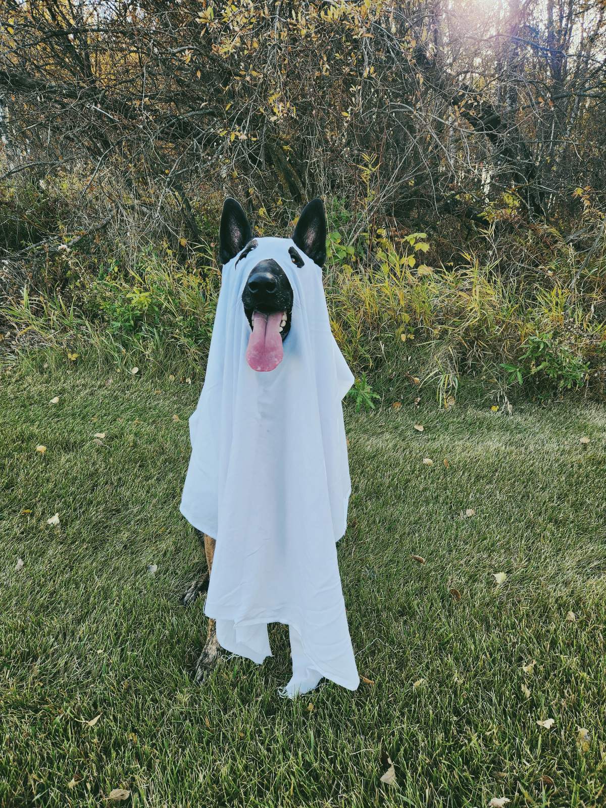 – Colby and Austin