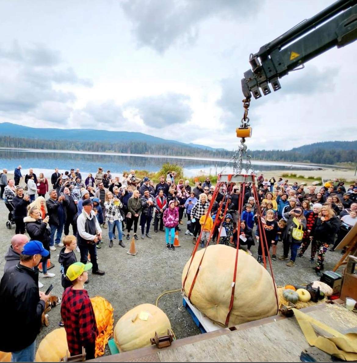 Whonnock Giant Pumpkin Contest - image