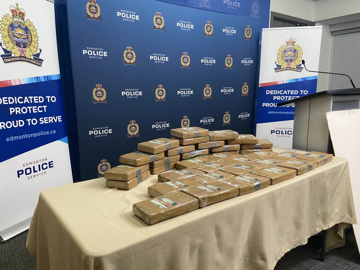 Photo of 40.5 kg of cocaine (approximate street value of $1,800,000) seized by Edmonton police on Oct. 27, 2023.