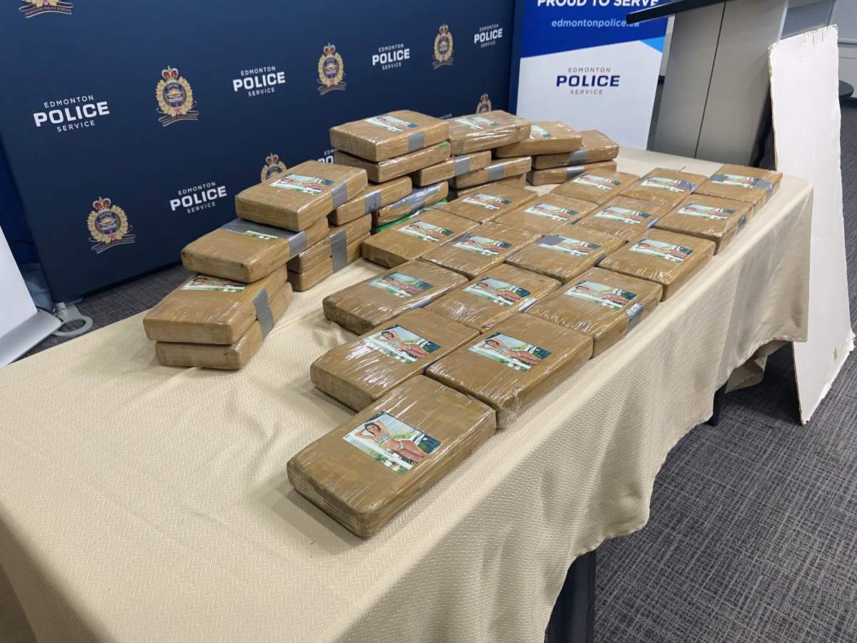 Photo of 40.5 kg of cocaine (approximate street value of $1,800,000) seized by Edmonton police on Oct. 27, 2023.