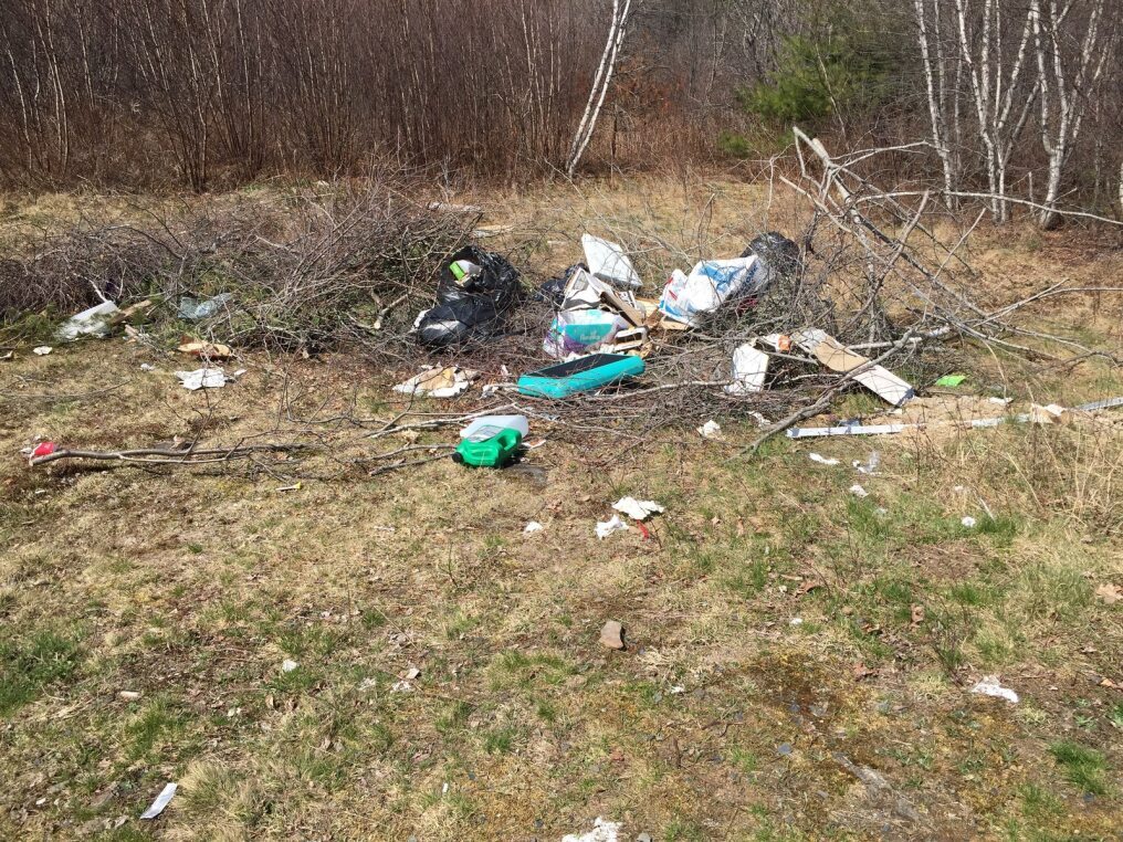 Dumping has become increasingly common in the park in recent years