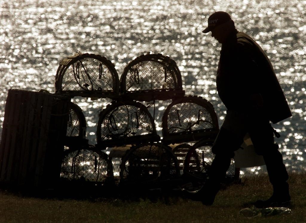 The Transportation Safety Board of Canada has issued an advisory letter to three government entities cautioning against allowing the overloading of vessels, after the deaths of two New Brunswick lobster fishermen earlier this year. A fisherman walks from his boat in Burnt Church, N.B., on Tuesday, Sept. 5, 2000. THE CANADIAN PRESS/Andrew Vaughan.