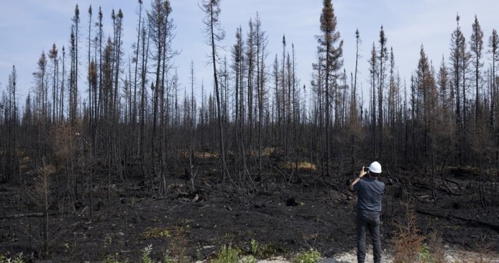 Опустошителни горски пожари разрушителни ледени бури масивни наводнения и дори