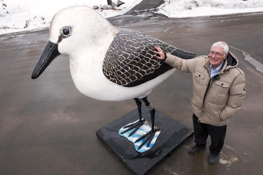 New Brunswick councillor sanctioned over installation of giant sandpiper statue