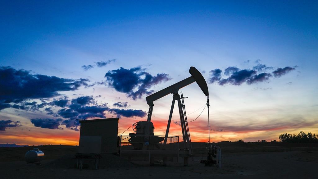 Canada's oil and gas well drilling sector says it expects modest growth in 2024.