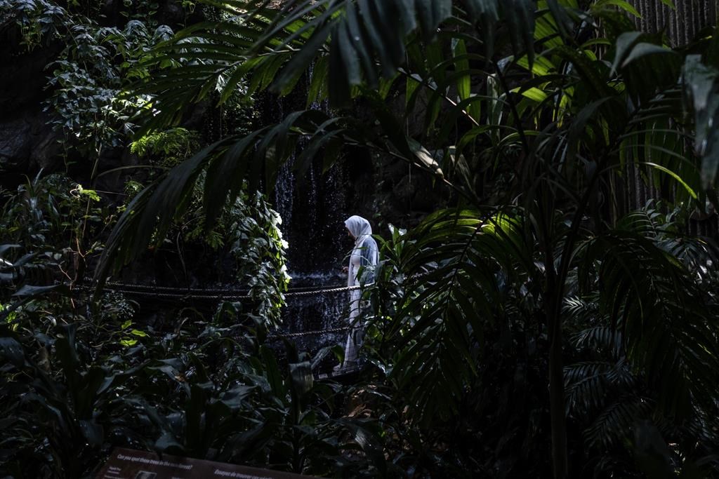 ТОРОНТО — Планетариум приключенски парк на открито и голяма завладяваща