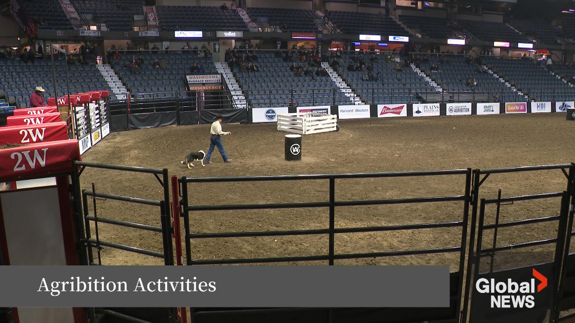 WATCH: Agribition attractions and activities in the Queen City