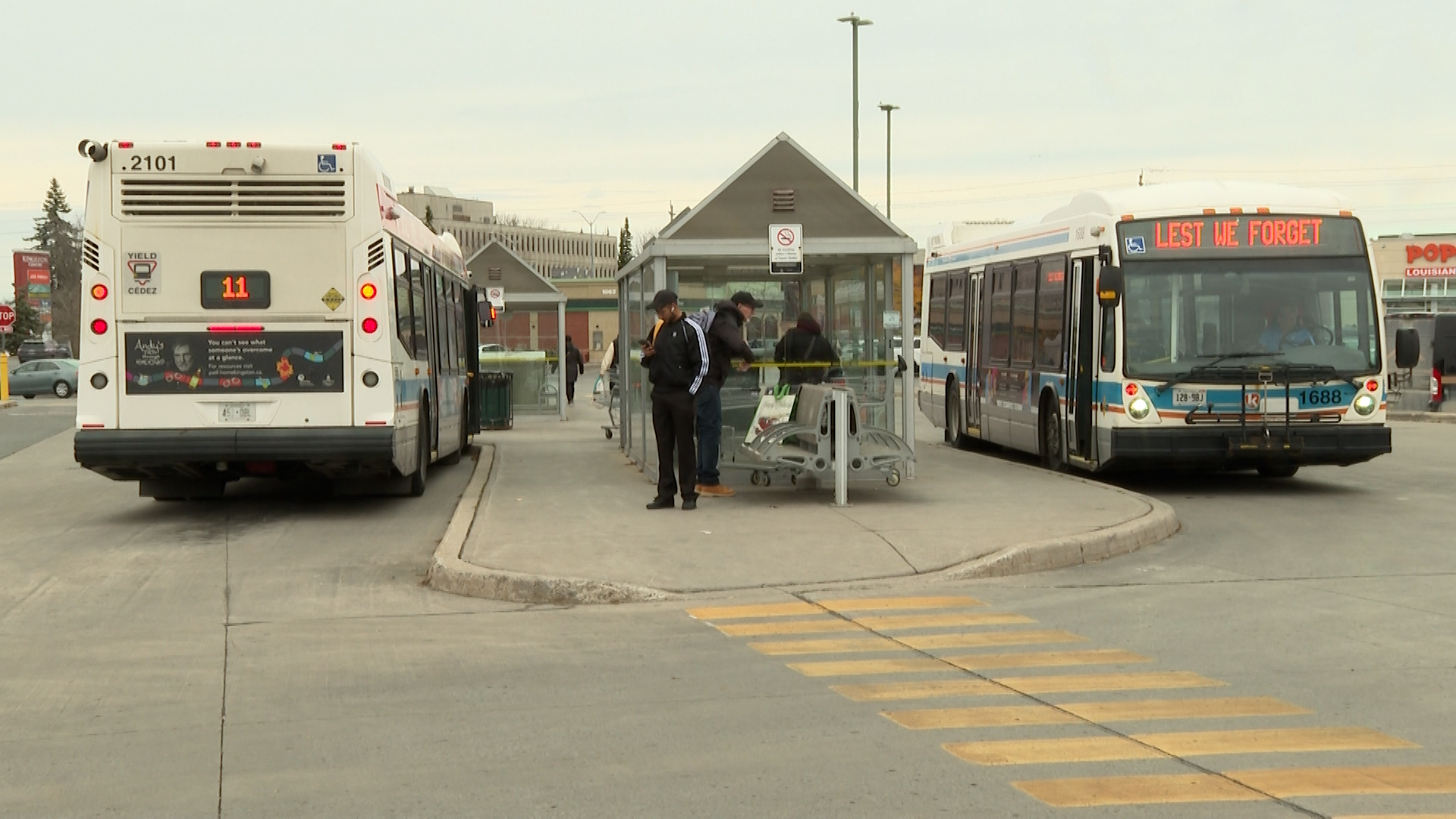 Kingston bus operators are being driven to quit due to abuse: union
