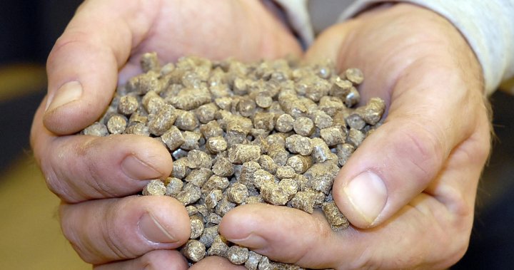 What is biomass? The latest fuel source to get clean tech tax credits