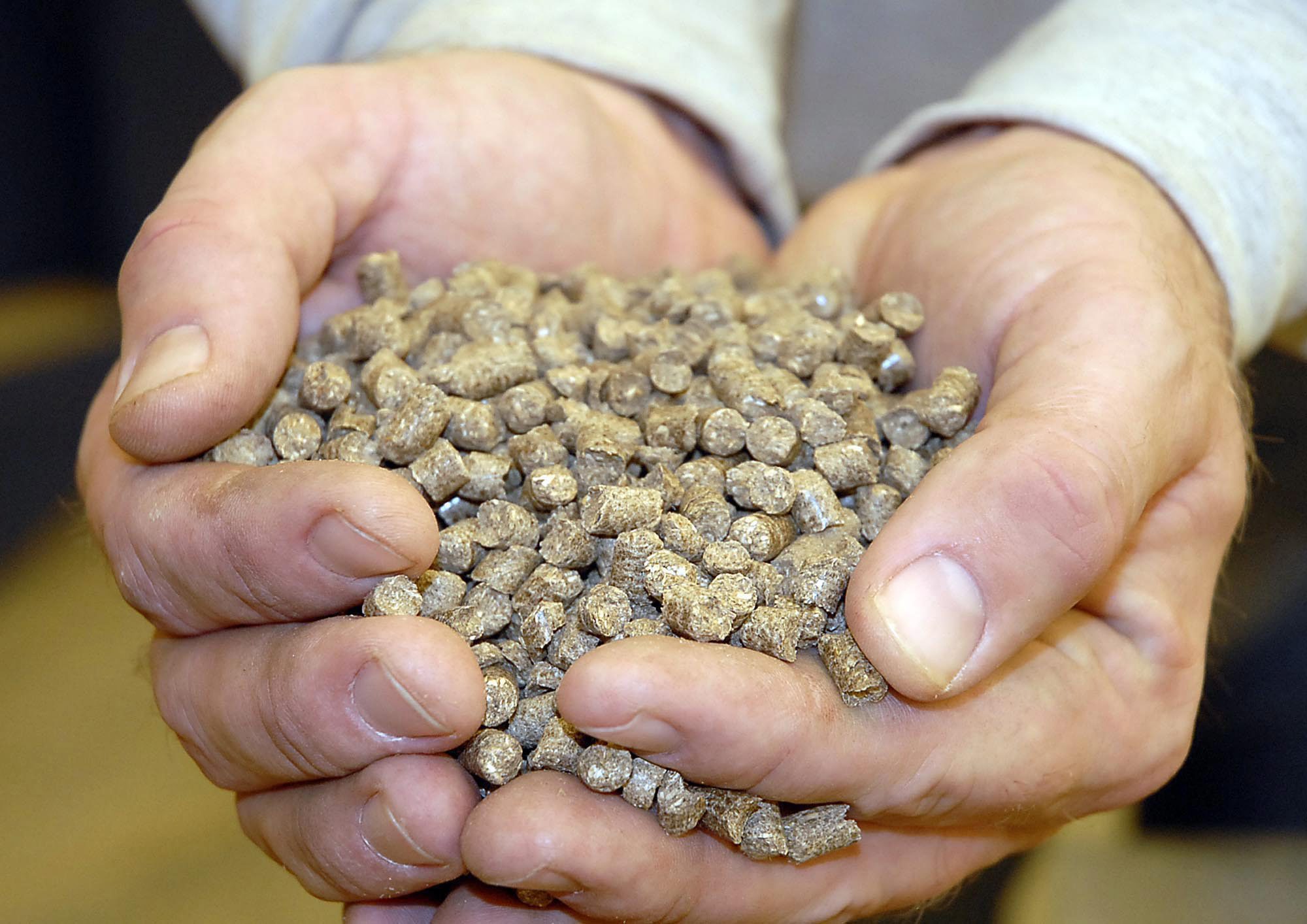 What is biomass? The latest fuel source to get clean tech tax credits