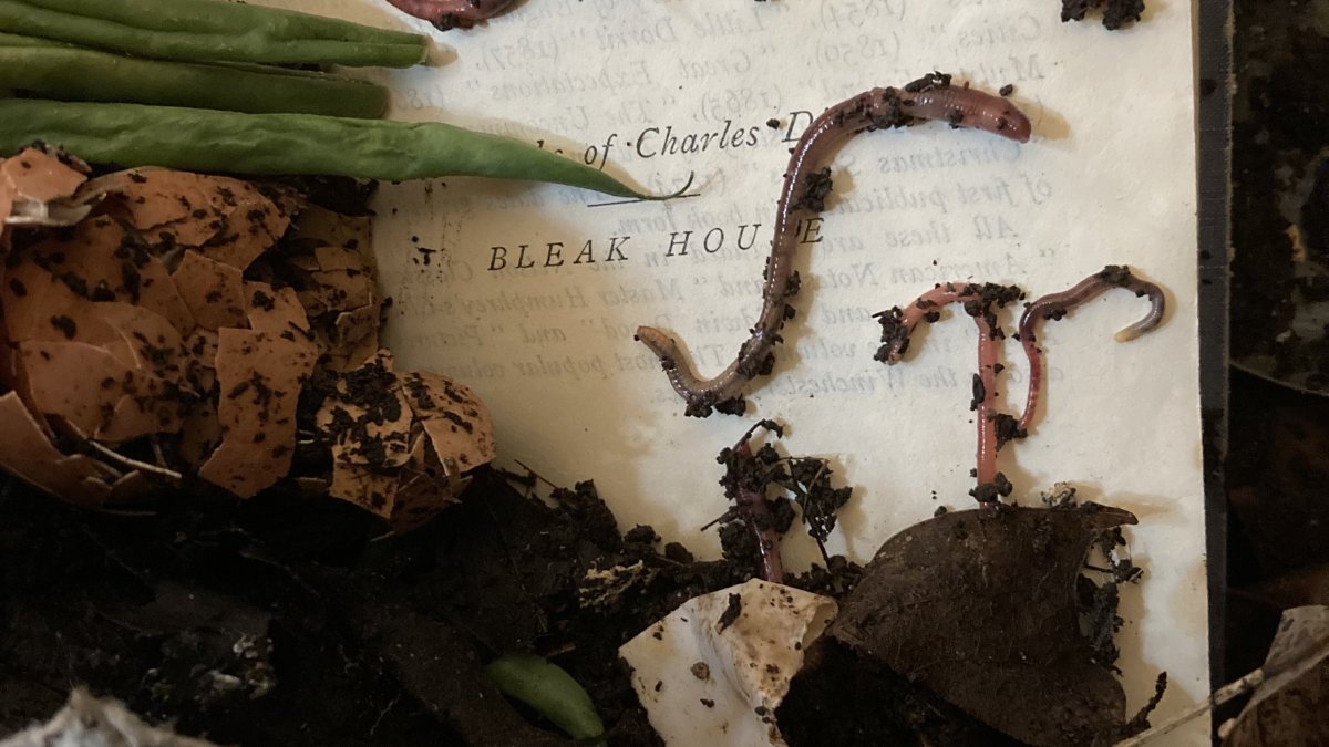 A book being consumed by worms for compost.