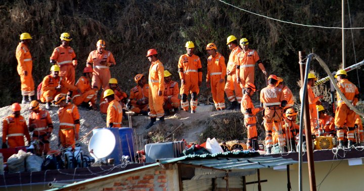 India tunnel collapse: Rescuers begin digging manually to free 41 workers