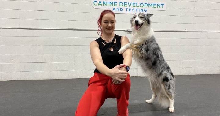„Удивителната връзка“ на жена от района на Калгари с нейното танцуващо куче, представена в нова документална поредица