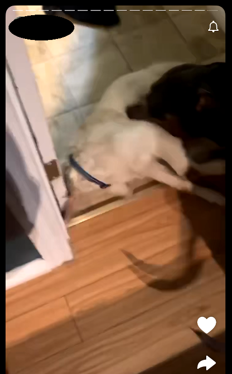 A screenshot from the video posted online that someone then alerted the RCMP to.