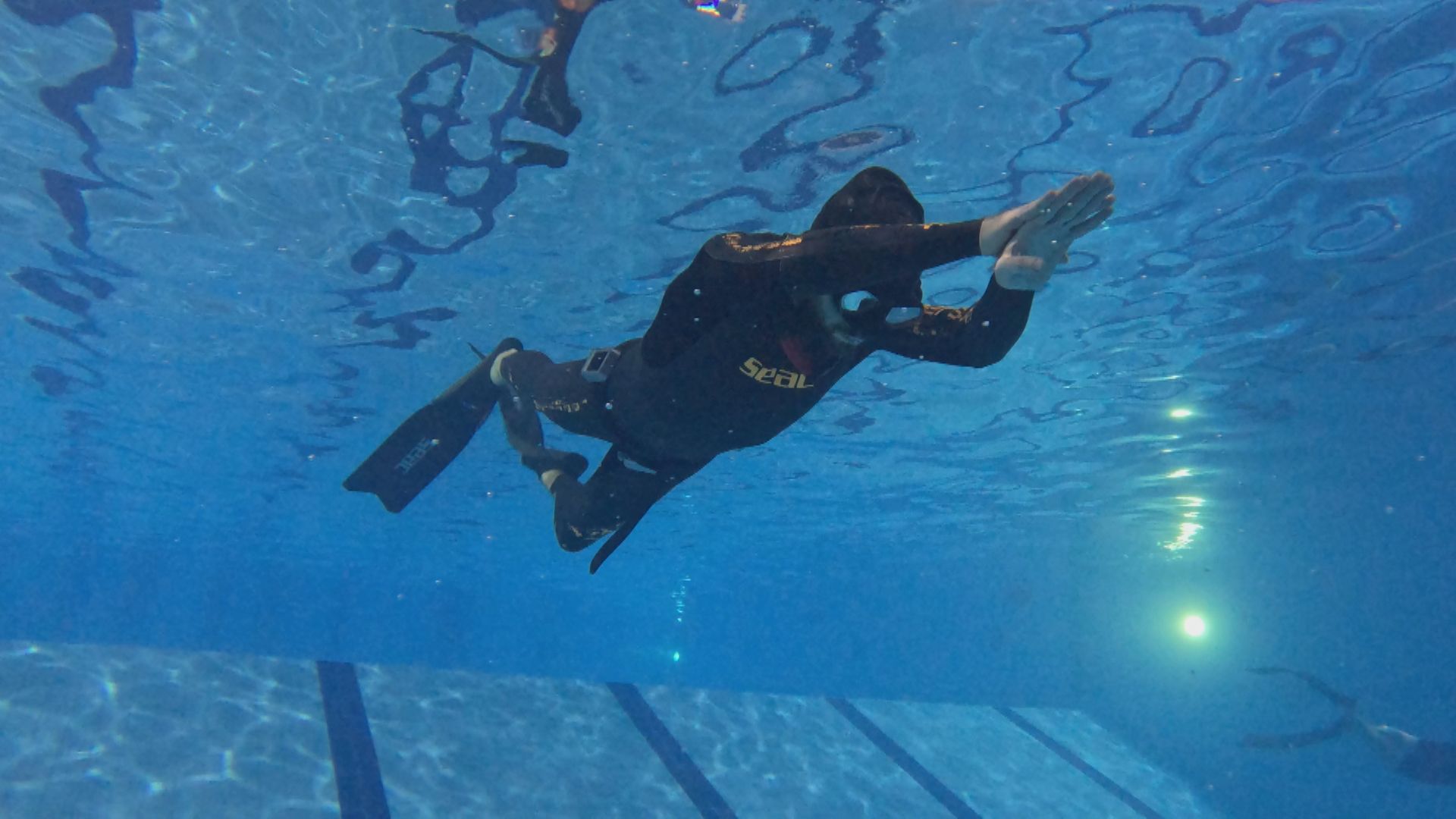 The extreme sport of Freediving has Montrealers holding their breath ...