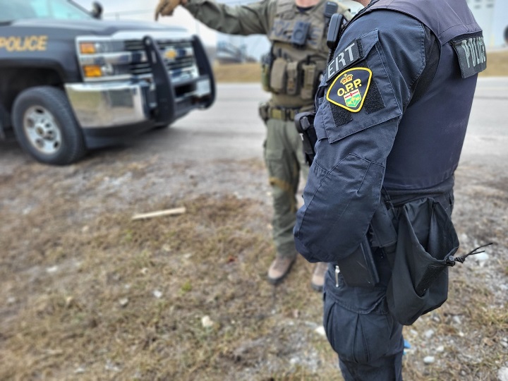 The OPP's emergency response team, canine unit and aviation services were called in to help assist in the search. .