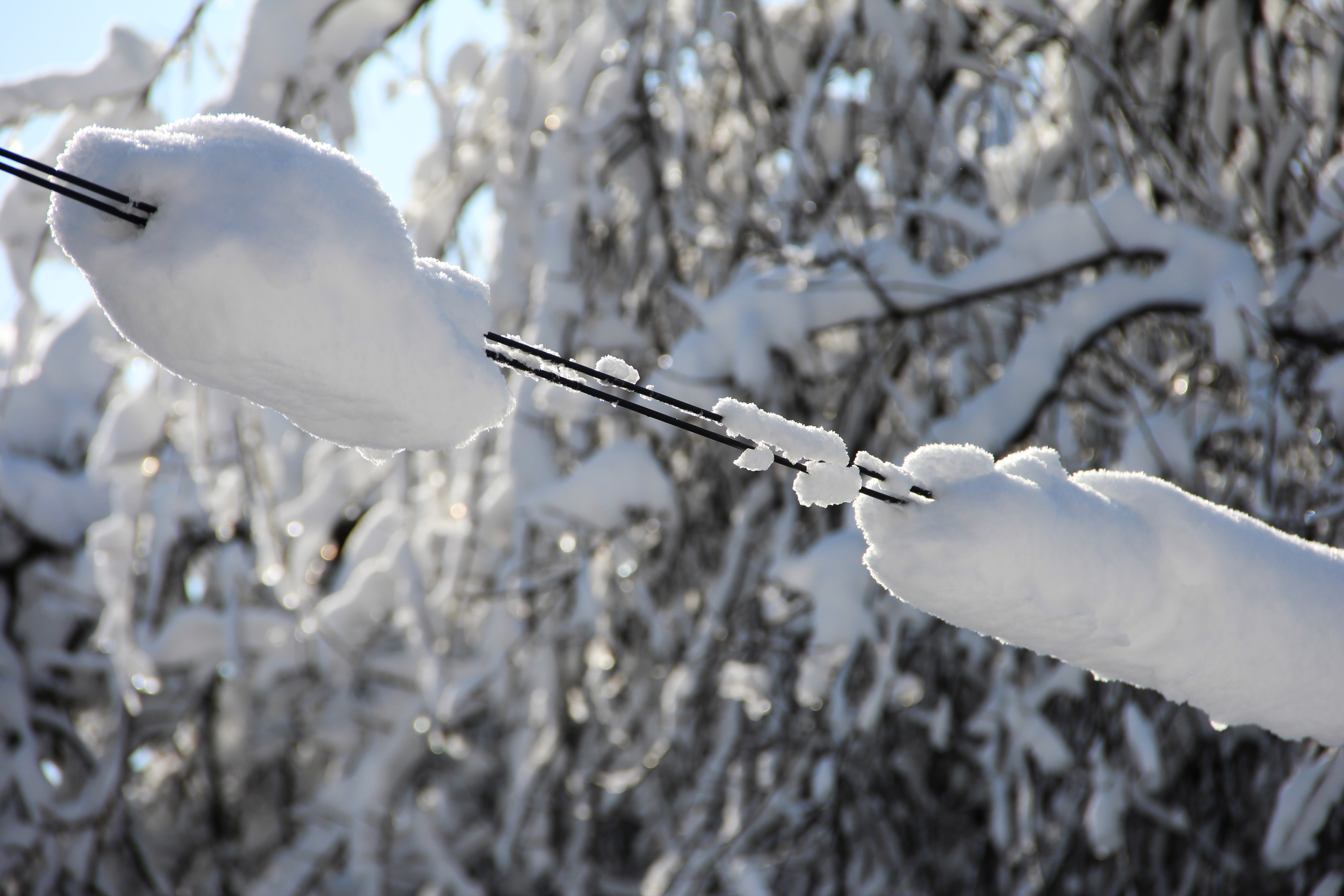 Лесно е да се забрави че в много части на
